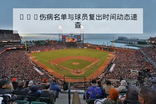 CBA伤病名单与球员复出时间动态速查